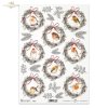 ptak, ptaki, ptaszki, zimowe, wieniec, wieńce, rudzik, rudziki, zima, bird, birds, birding, winter, wreath, wreaths, redstarts, winter, Vogel, Vögel, Vogelkunde, Winter, Kranz, Kränze, Gartenrotschwanz, Winter,  pájaro, pájaros, observación de aves